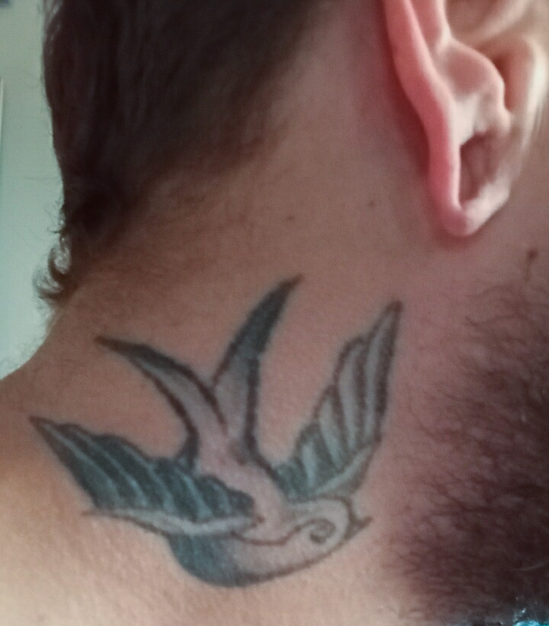 Close-up photo of a man’s sparrow tattoo on his neck.