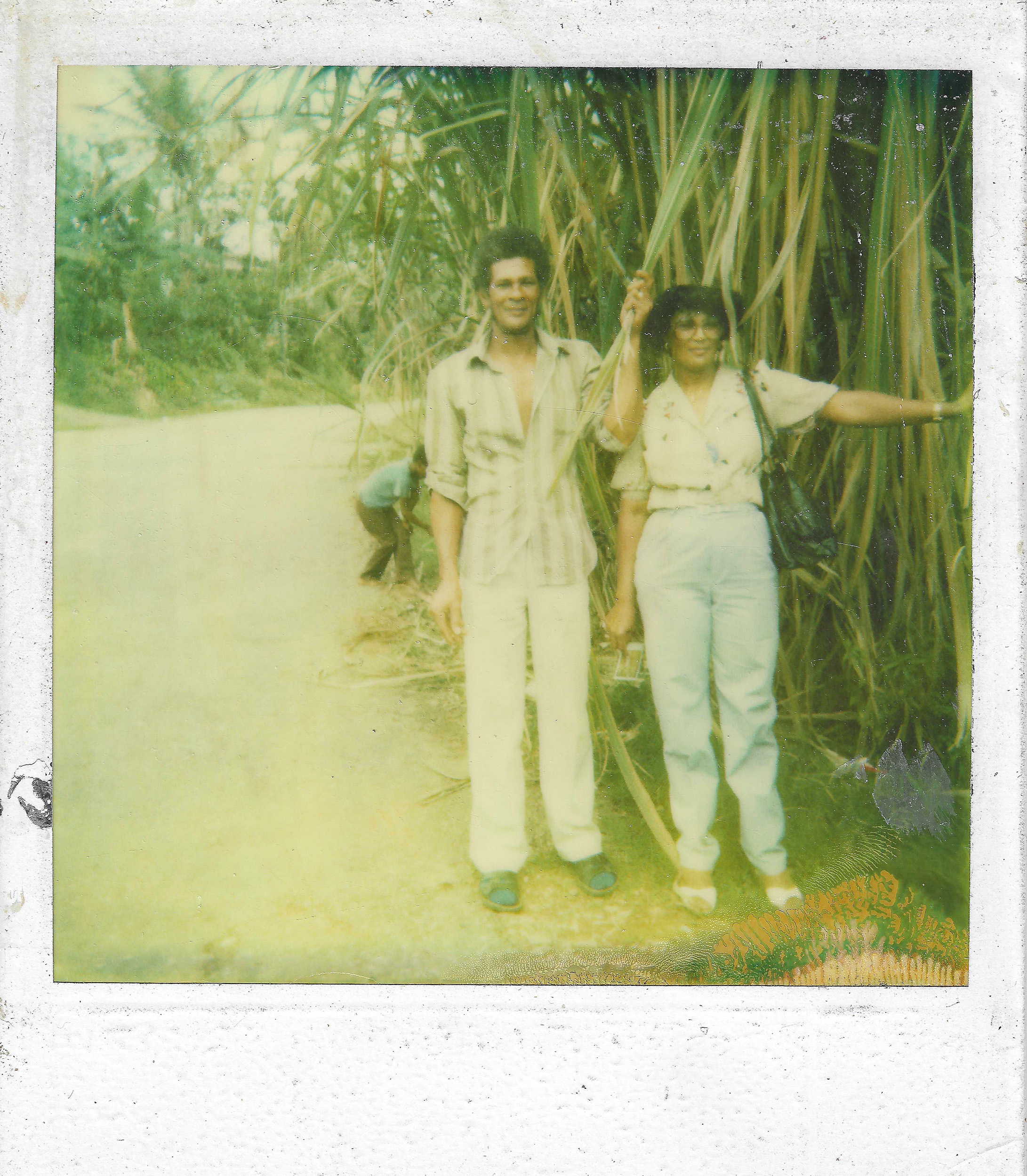 Man and woman standing in sugarcane field.